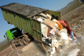 Крупногабаритный мусор - что включает и как нужно вывозить?
