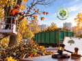 Осенняя обрезка деревьев: что можно резать, а что нельзя по закону Осенняя обрезка деревьев: что можно резать, а что нельзя по закону